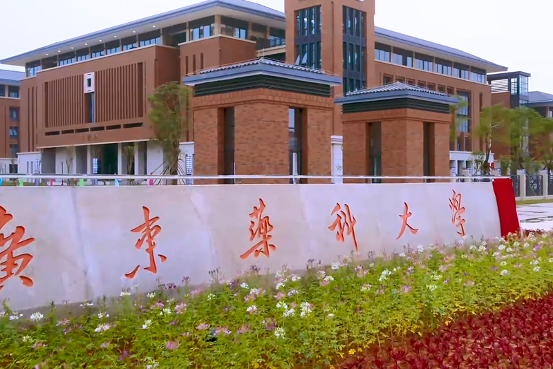巅峰国际官网-追求健康,你我一起成长