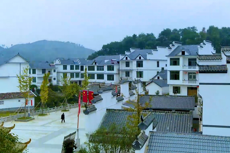 巅峰国际官网-追求健康,你我一起成长