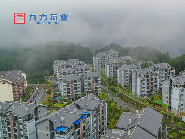 巅峰国际官网-追求健康,你我一起成长